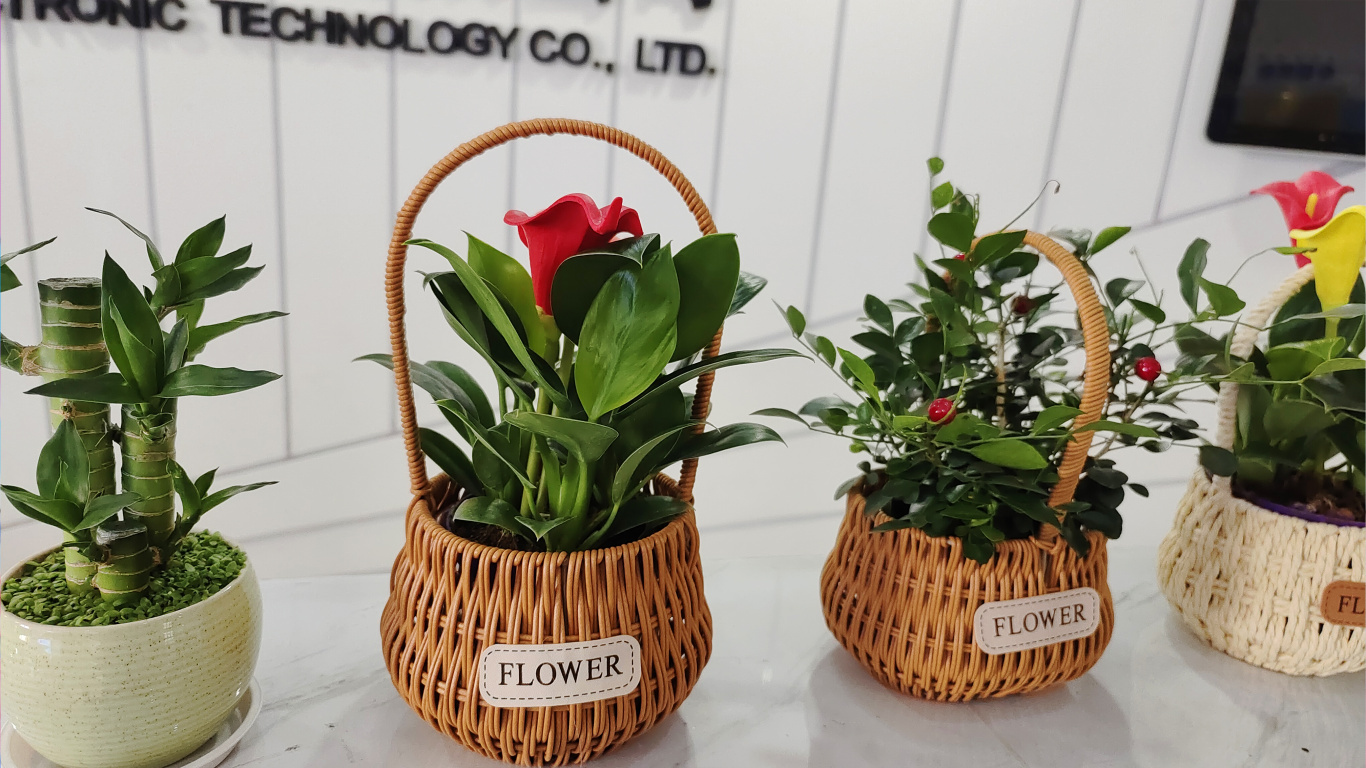 MG������Ϸ